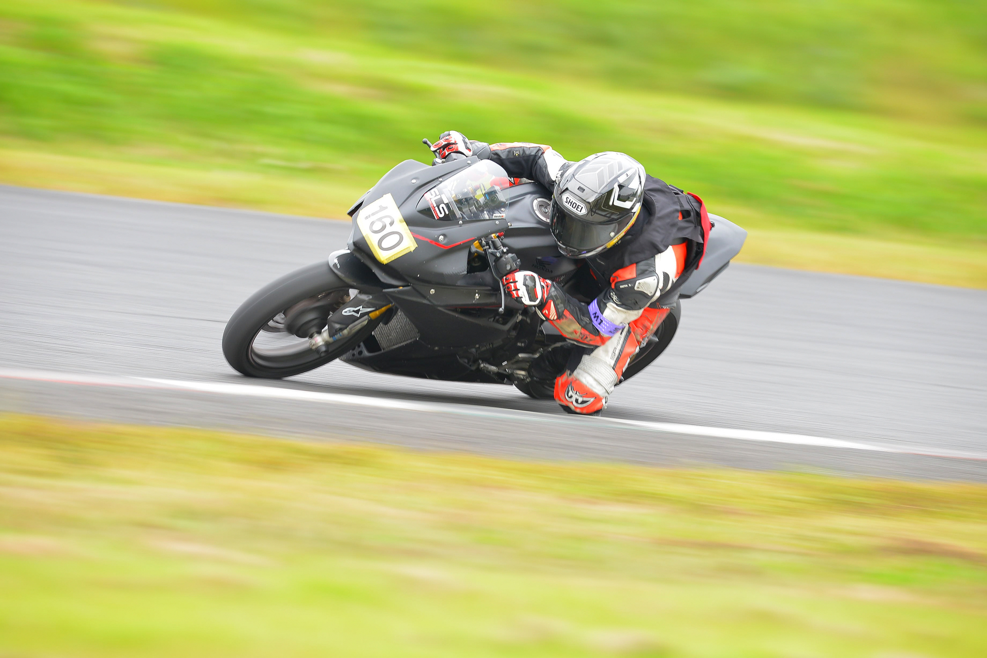 D8J_0213.JPG