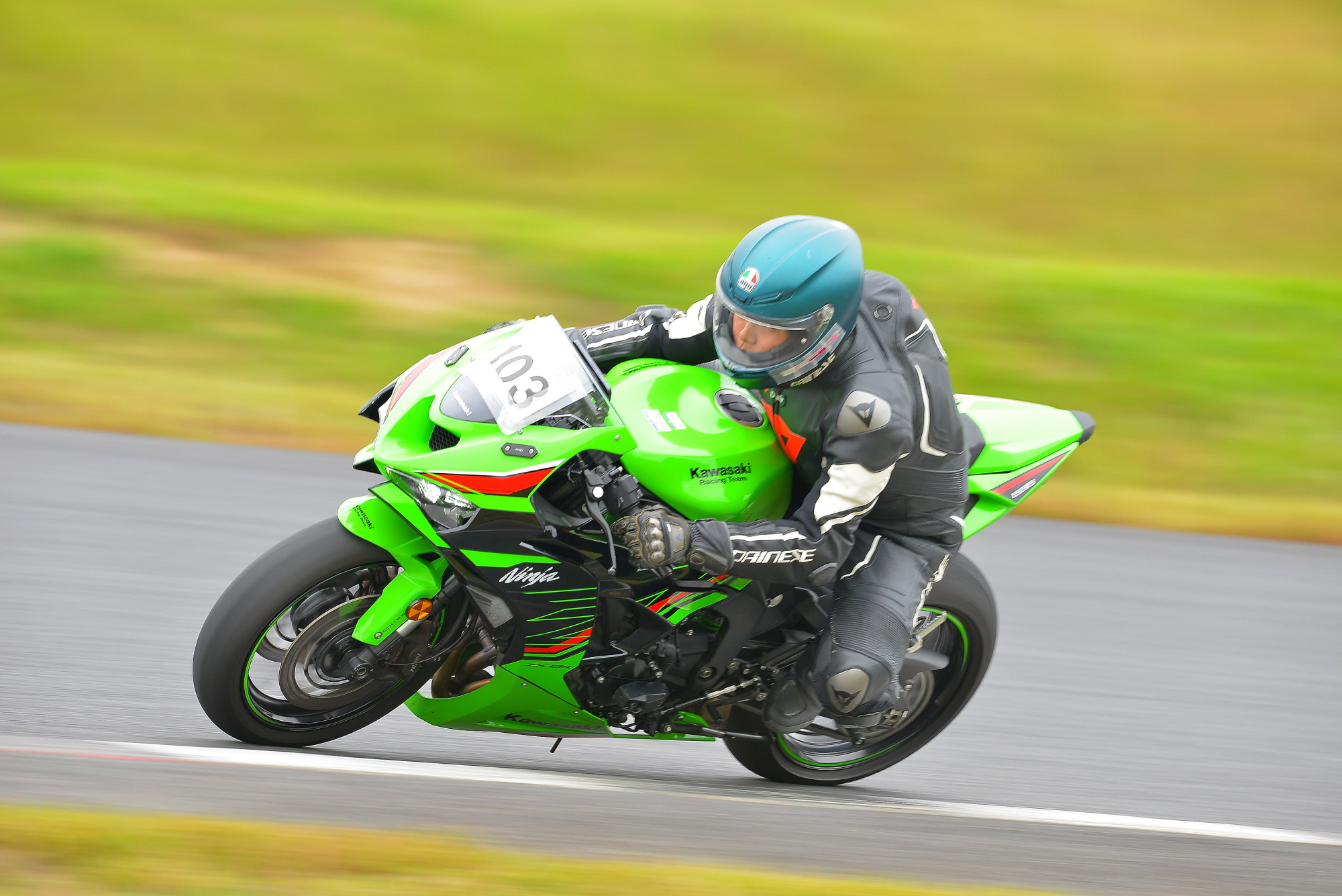 D8J_0216.JPG
