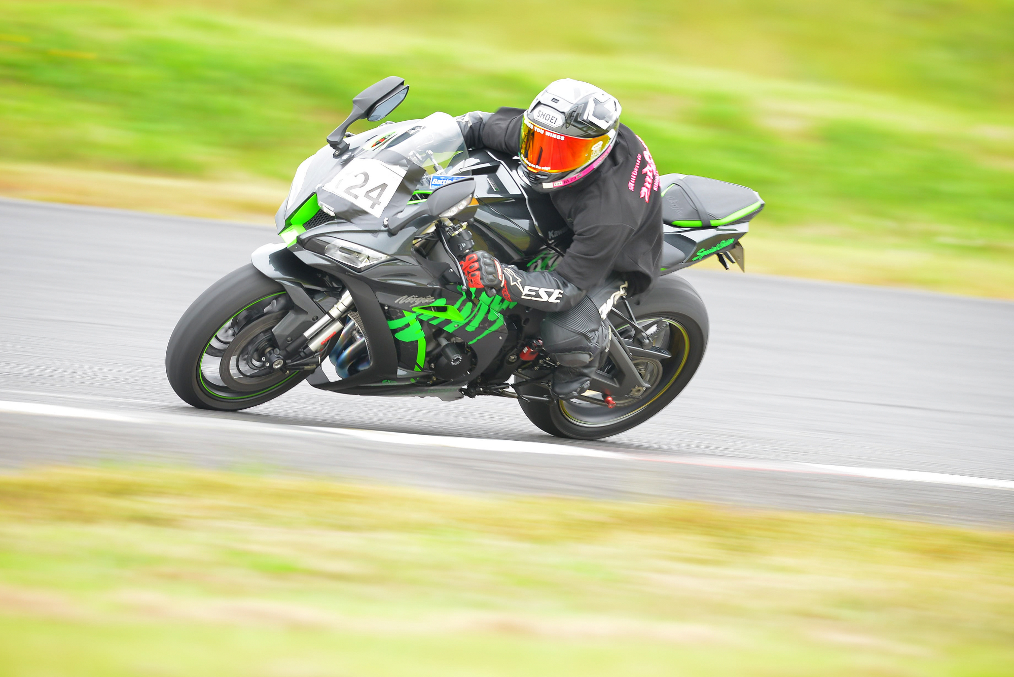 D8J_0231.JPG