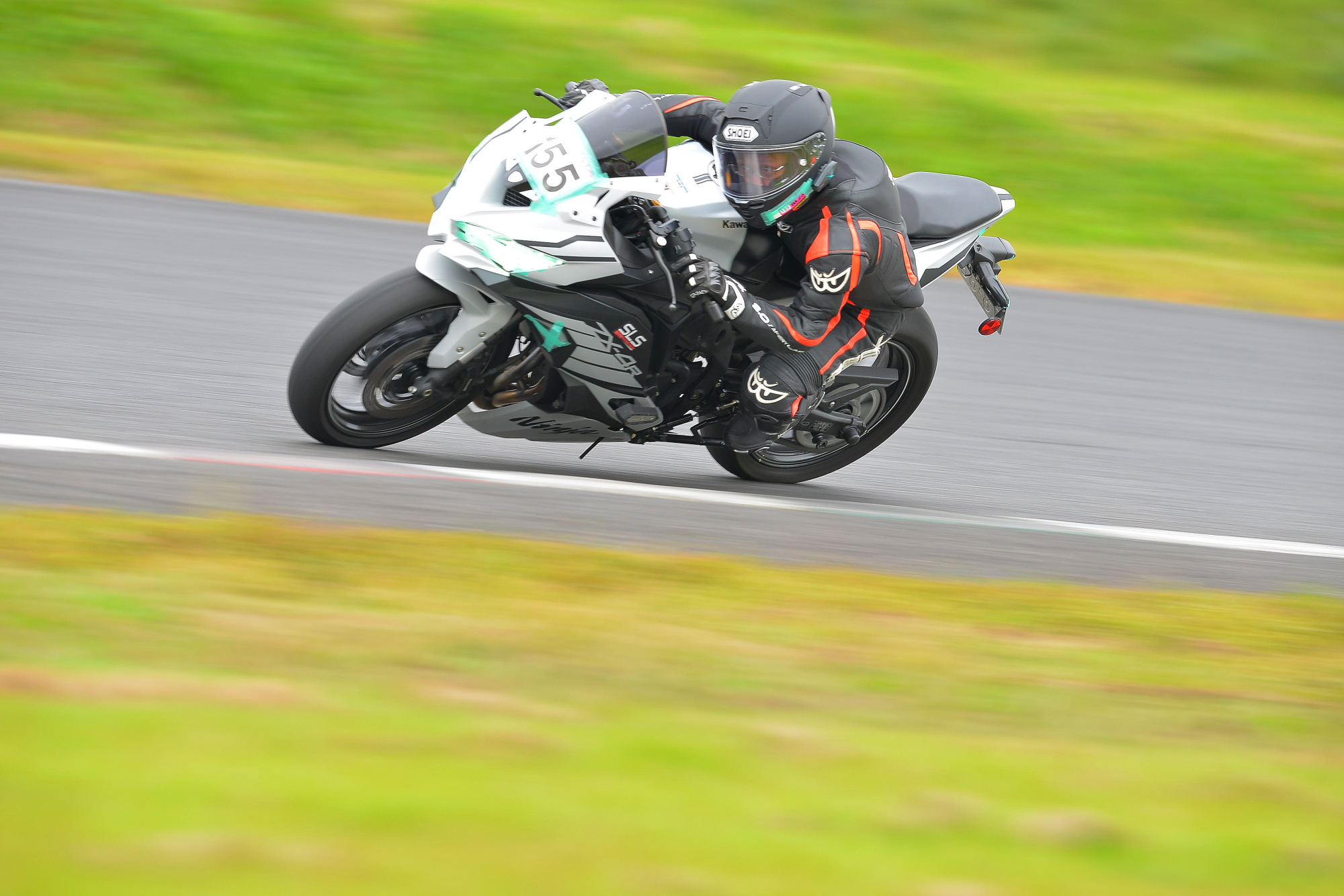 D8J_0247.JPG