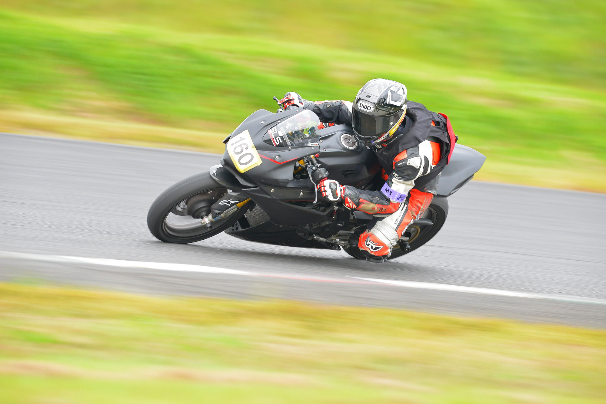 D8J_0264.JPG