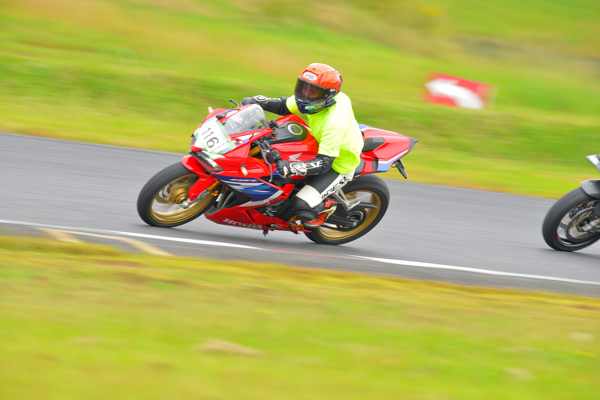 D8J_0271.JPG