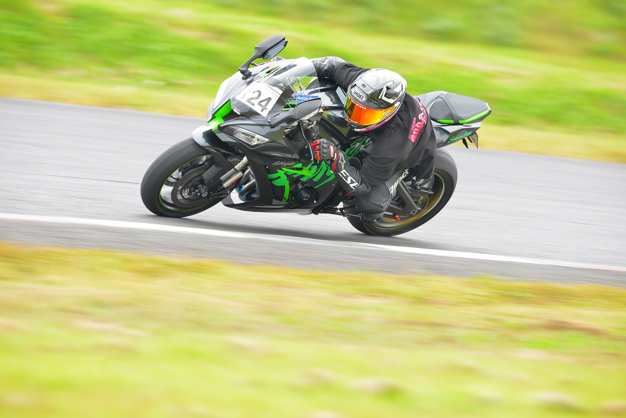 D8J_0310.JPG