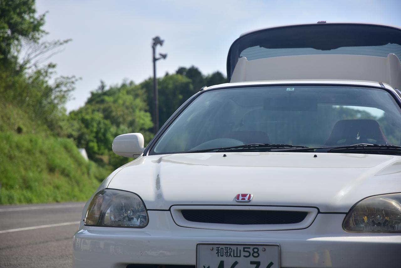 D72_8549.JPG