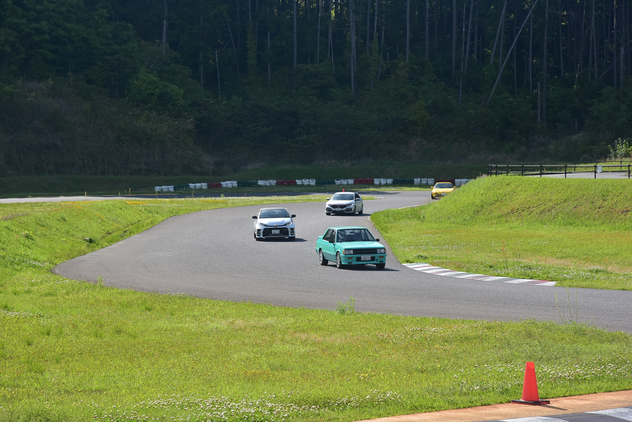 D72_8590.JPG