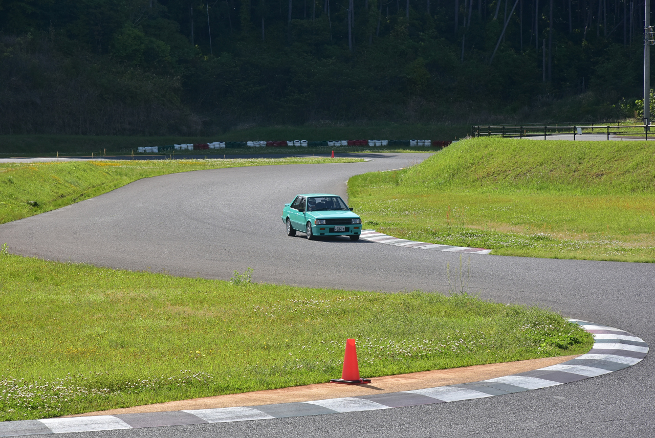 D72_8604.JPG