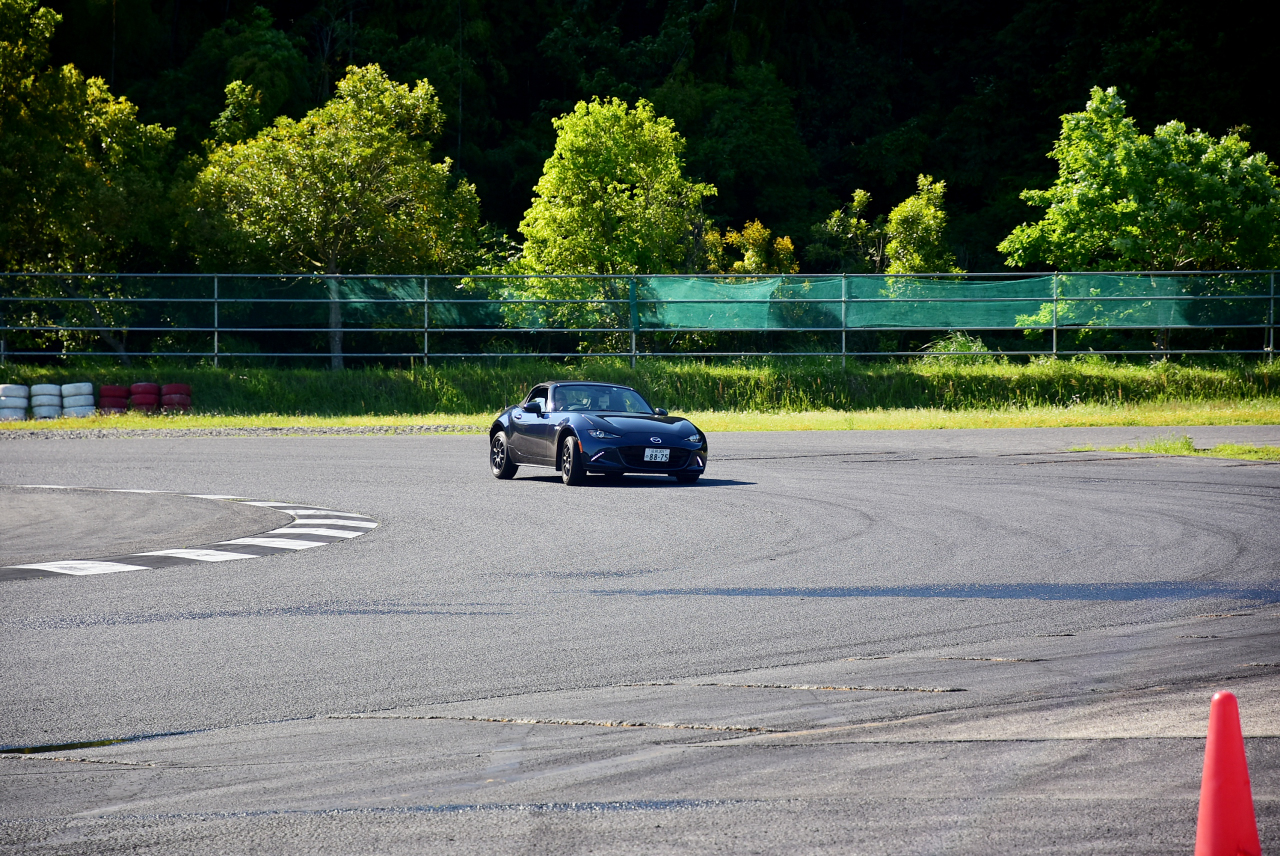 D72_9236.JPG