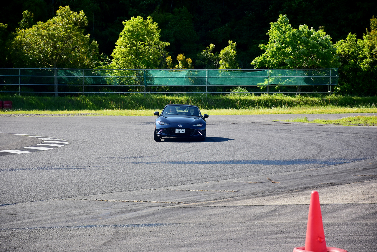 D72_9238.JPG