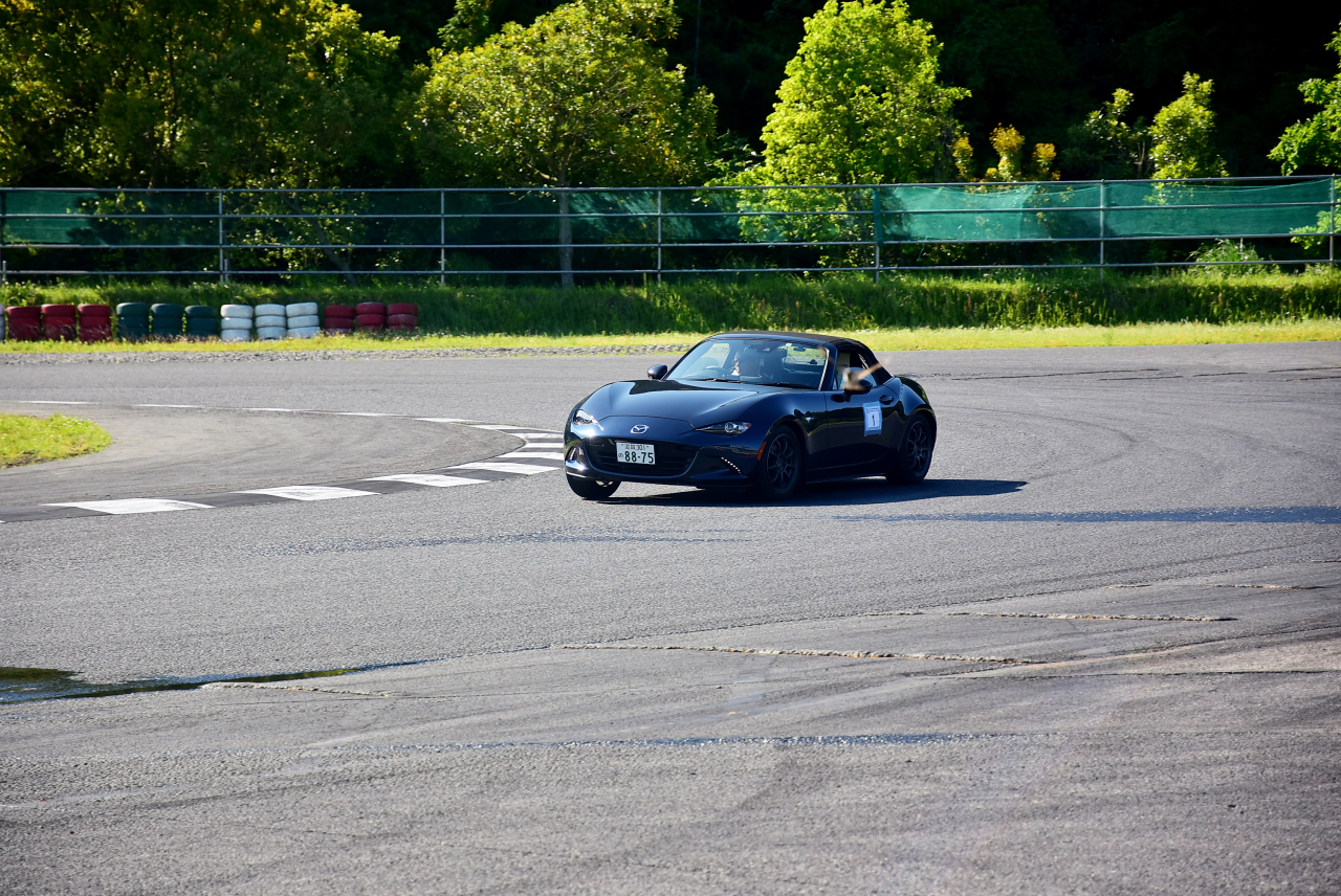 D72_9240.JPG