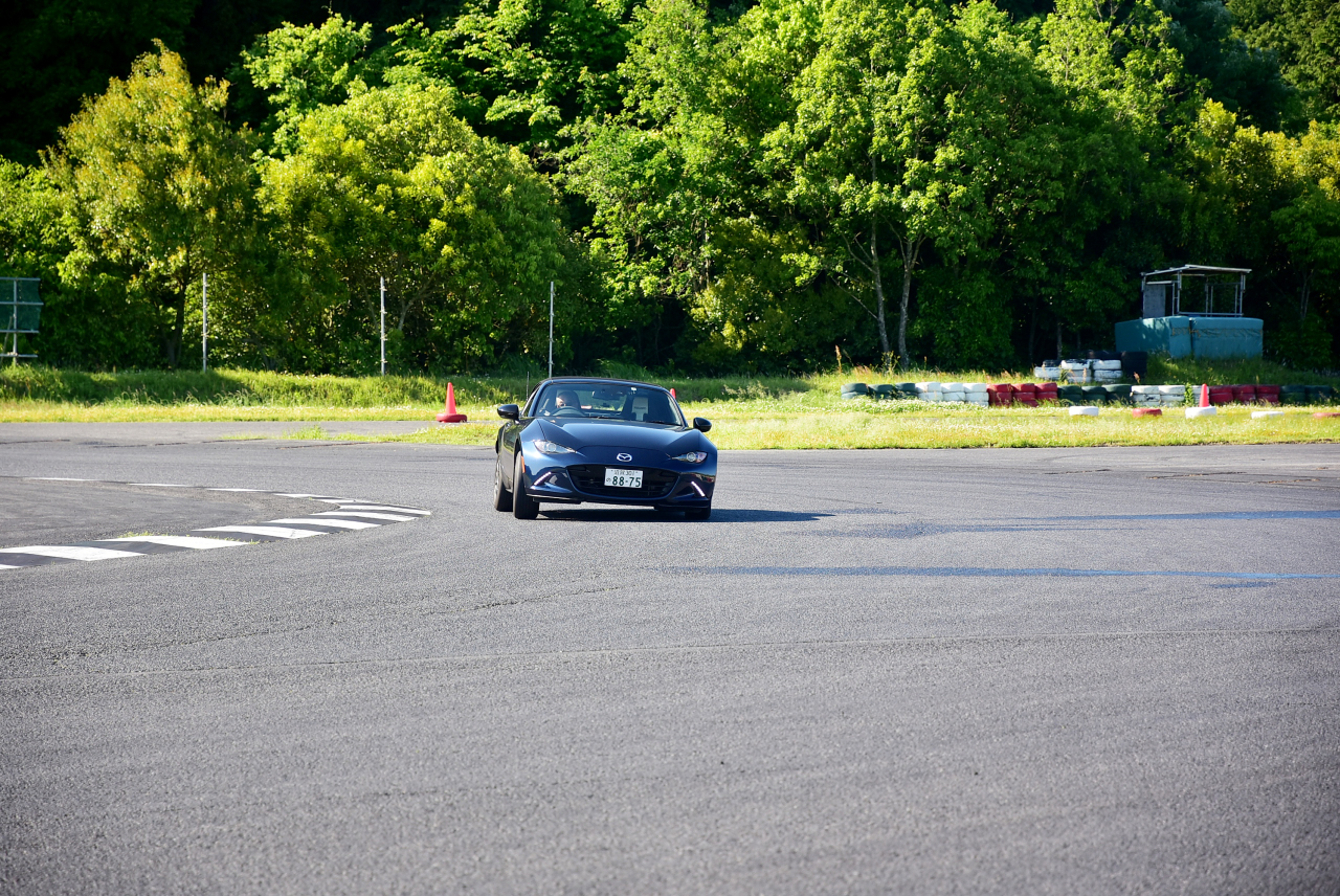 D72_9250.JPG
