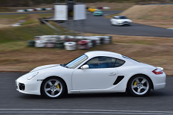 DSC_0339_thumb.png