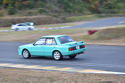 DSC_0366_thumb.png